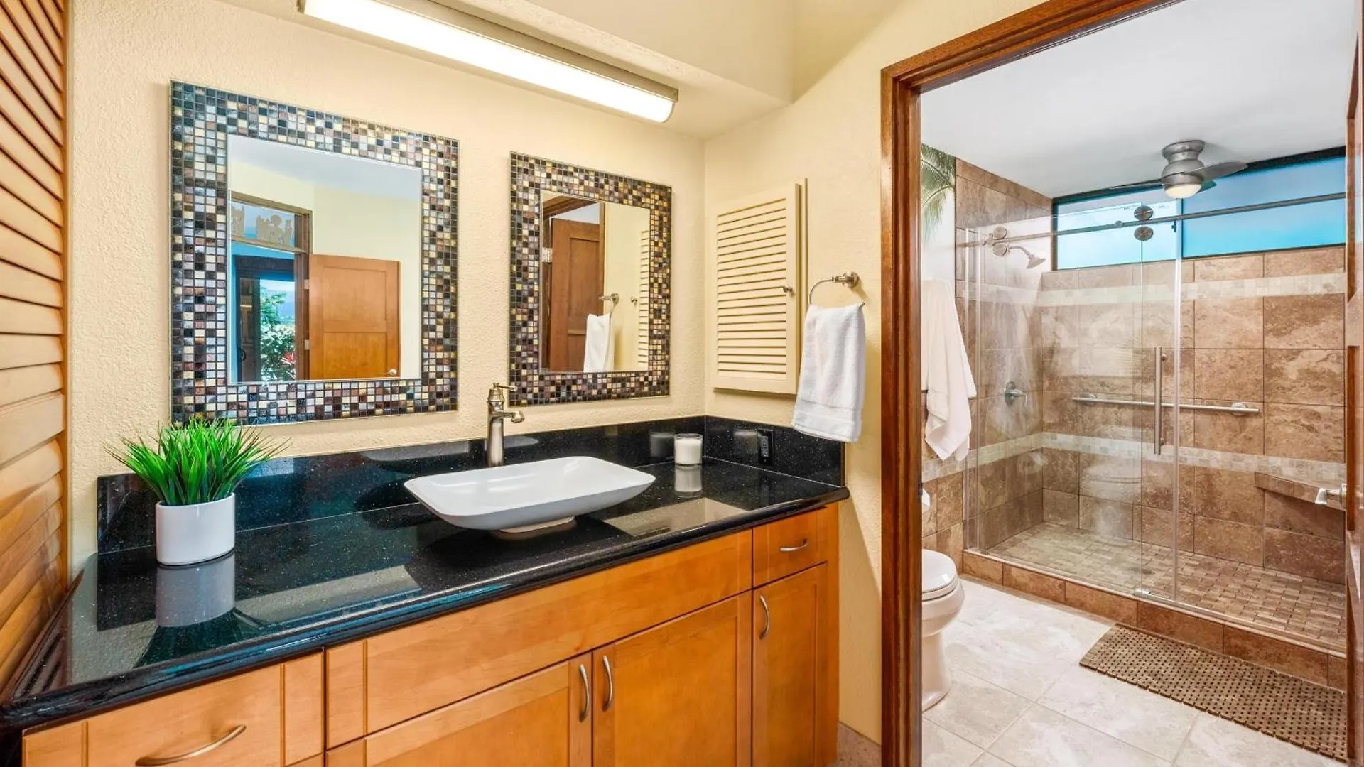 Villa Sea Renity Waikoloa Holiday home